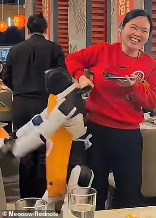 Humanoid Robot Causes Chaos at Haidilao Restaurant During Zootopia 2 Promo