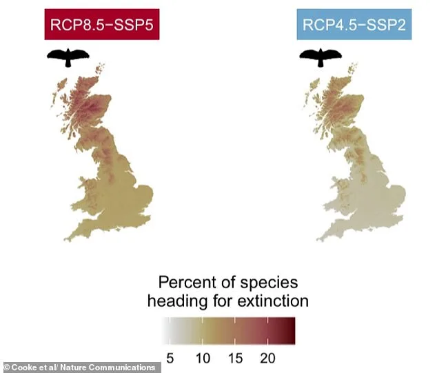 Britain's Wildlife on the Brink: Vanishing in Two Decades, A Call to Action