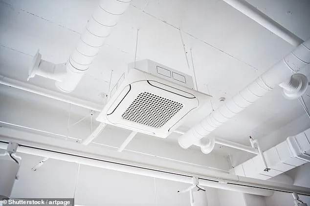TikTok's 'Office Air Theory' Sparks Debate Over Office-Induced Physical Changes, Scientists Investigate