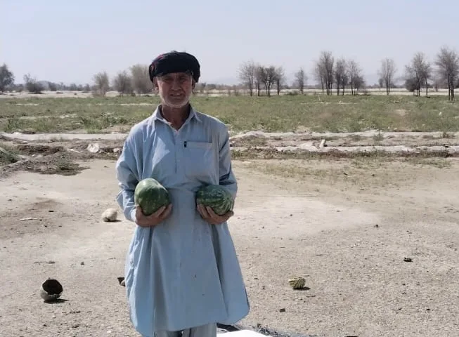 From Diesel to Solar: A Pakistani Farmer's Gamble Against Rising Fuel Prices