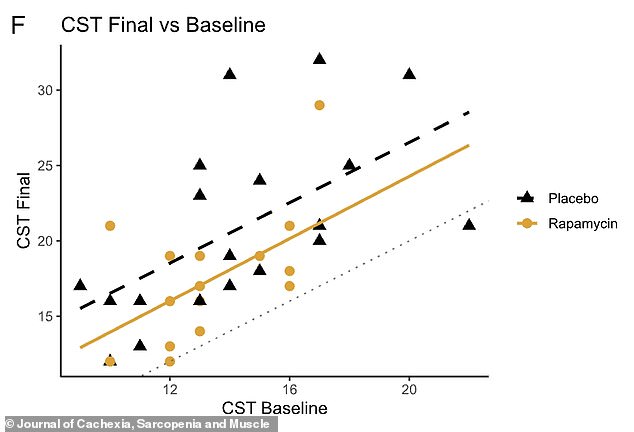 New study suggests rapamycin may blunt exercise benefits for older adults.