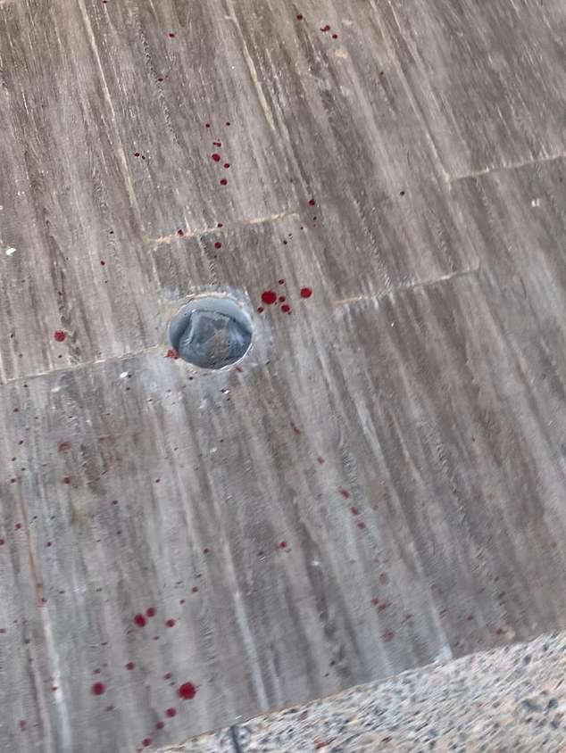 Morocco faces FIFA scrutiny after reports of mass stray dog killings ahead of 2030 World Cup.